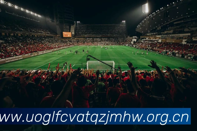 多媒体互动体验